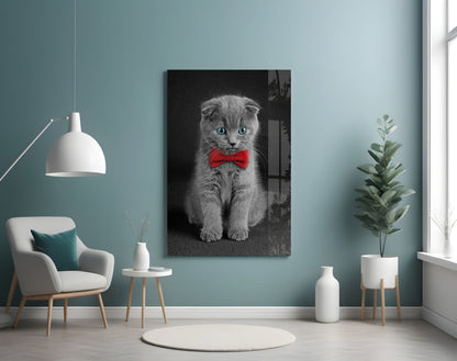Gray Kitten Red Bow Tie Glass Wall Art