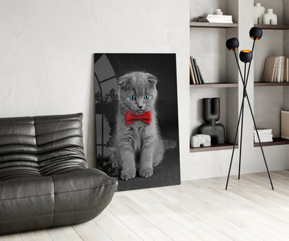 Gray Kitten Red Bow Tie Glass Wall Art