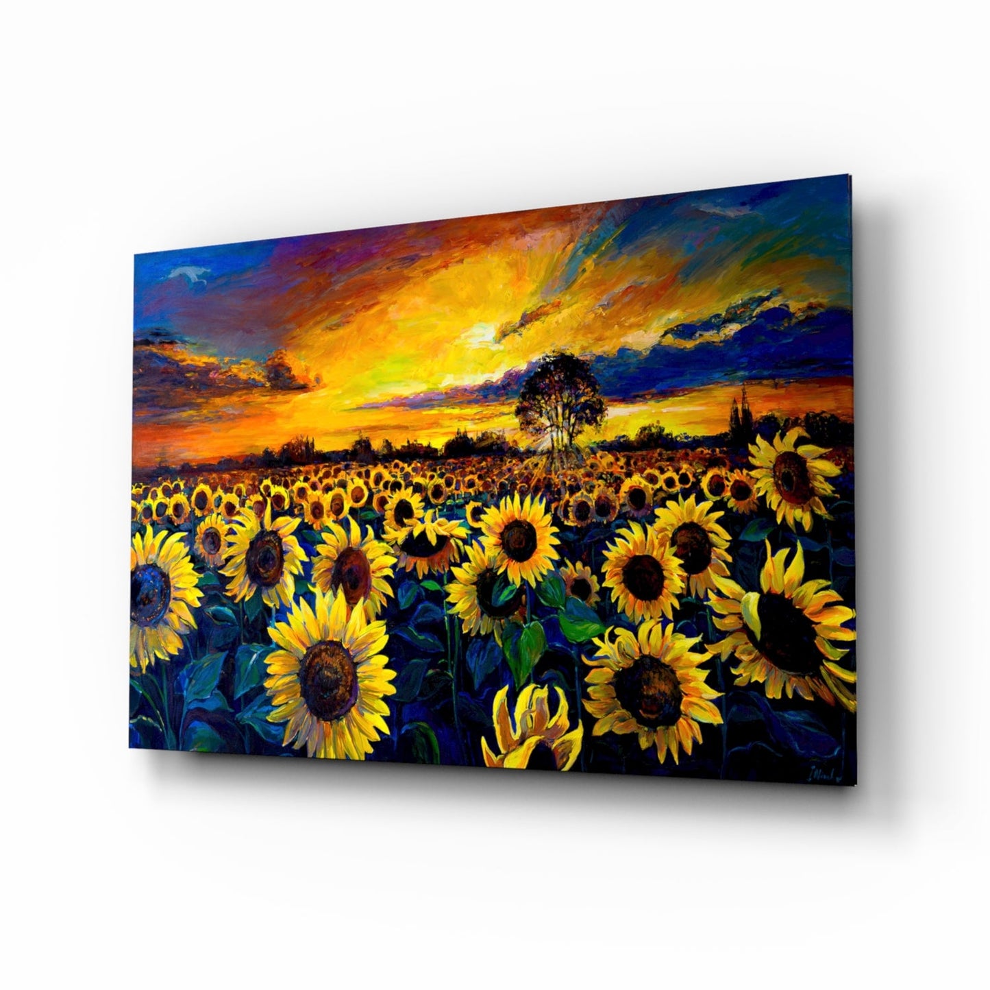 Angled perspective view of glass wall art depicting a vibrant sunflower field at sunset with golden sky and silhouetted tree.