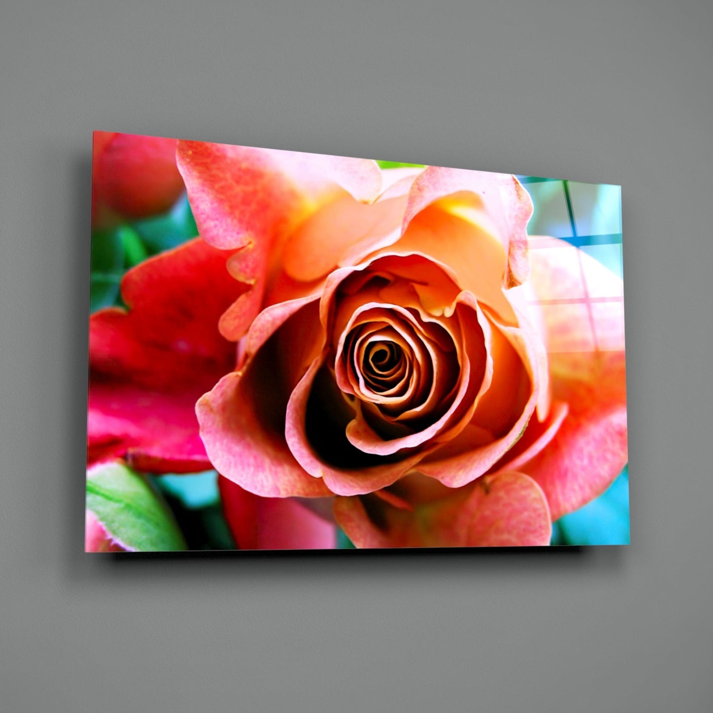 Peach Rose Teal Backdrop Glass Wall Art