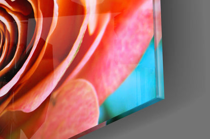Peach Rose Teal Backdrop Glass Wall Art