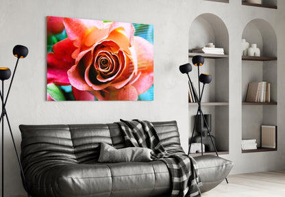 Peach Rose Teal Backdrop Glass Wall Art