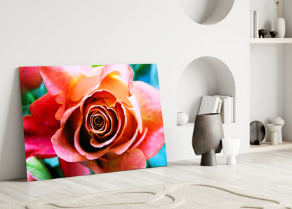 Peach Rose Teal Backdrop Glass Wall Art
