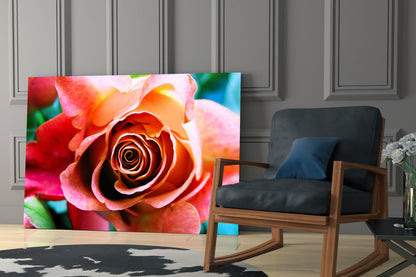 Peach Rose Teal Backdrop Glass Wall Art