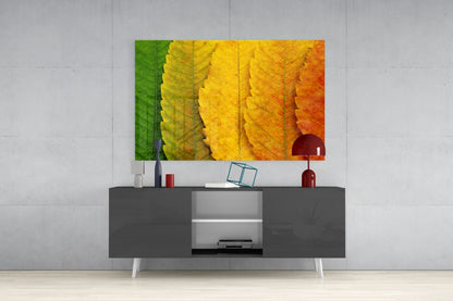Macro Serrated Leaves Color Shift Glass Wall Art