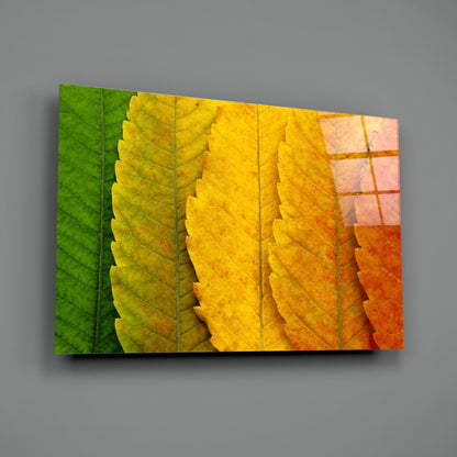 Macro Serrated Leaves Color Shift Glass Wall Art
