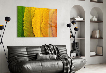 Macro Serrated Leaves Color Shift Glass Wall Art