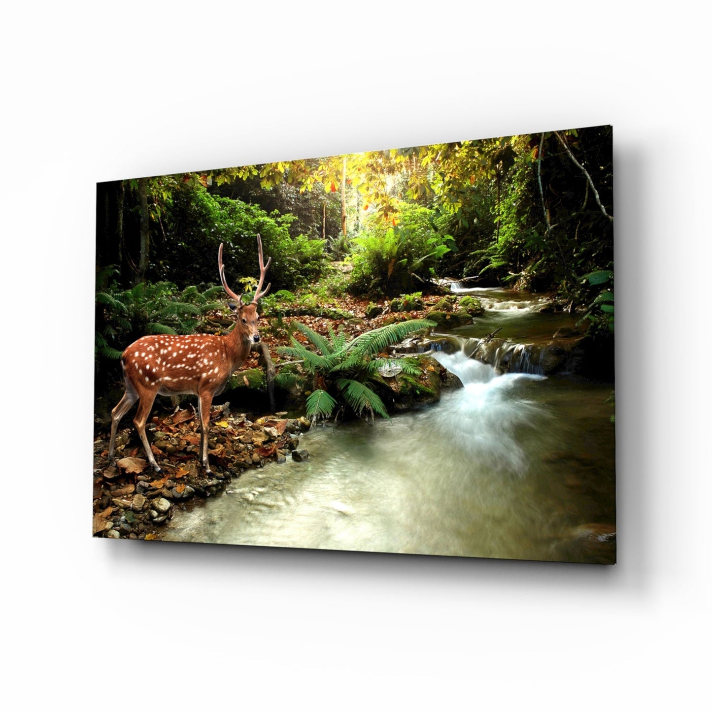 Spotted Deer Forest Stream Glass Wall Art