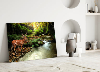 Spotted Deer Forest Stream Glass Wall Art