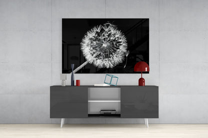 Dandelion Seeds Drifting Black Glass Wall Art