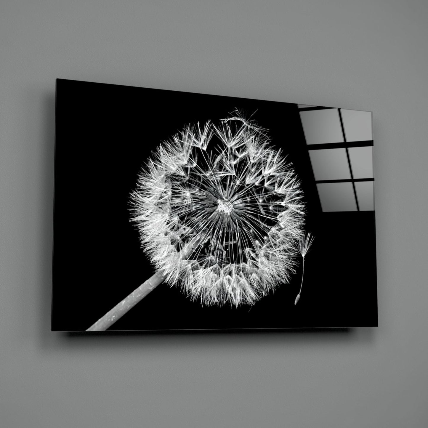 Dandelion Seeds Drifting Black Glass Wall Art