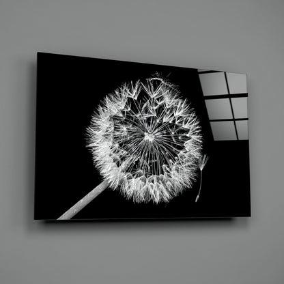 Dandelion Seeds Drifting Black Glass Wall Art