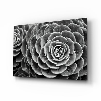 Monochrome Succulent Rosette Glass Wall Art