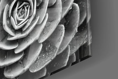 Monochrome Succulent Rosette Glass Wall Art