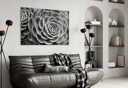 Monochrome Succulent Rosette Glass Wall Art