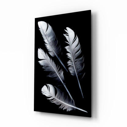 White Feathers on Black Glass Wall Art