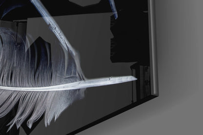 White Feathers on Black Glass Wall Art