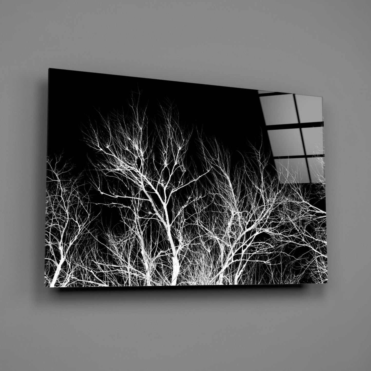 Bare White Branches on Black Night Glass Wall Art