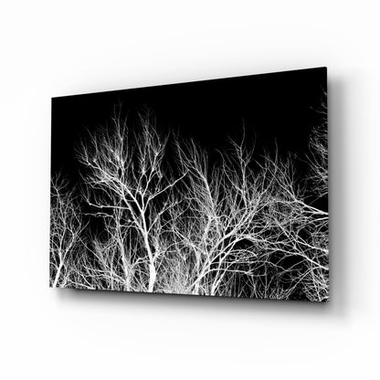 Bare White Branches on Black Night Glass Wall Art