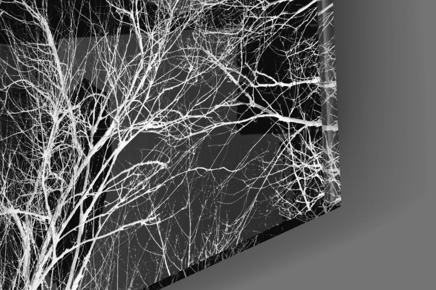 Bare White Branches on Black Night Glass Wall Art
