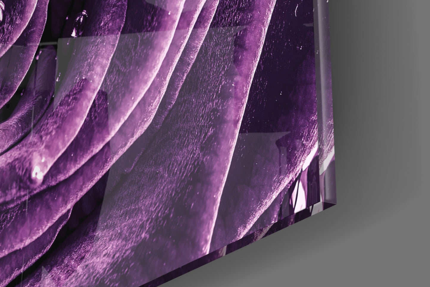 Dewdrop Violet Rose Spiral Bloom Glass Wall Art