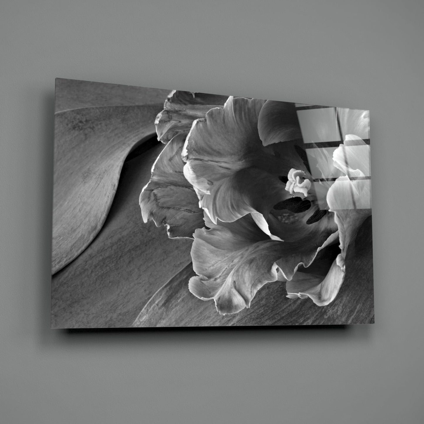 Monochrome Parrot Tulip Glass Wall Art