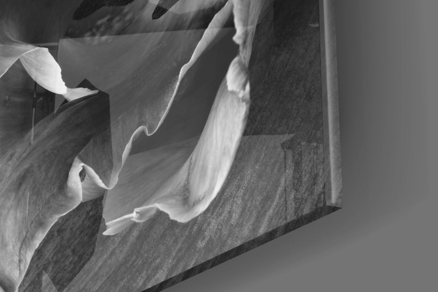 Monochrome Parrot Tulip Glass Wall Art