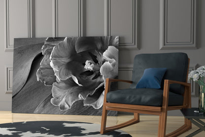 Monochrome Parrot Tulip Glass Wall Art