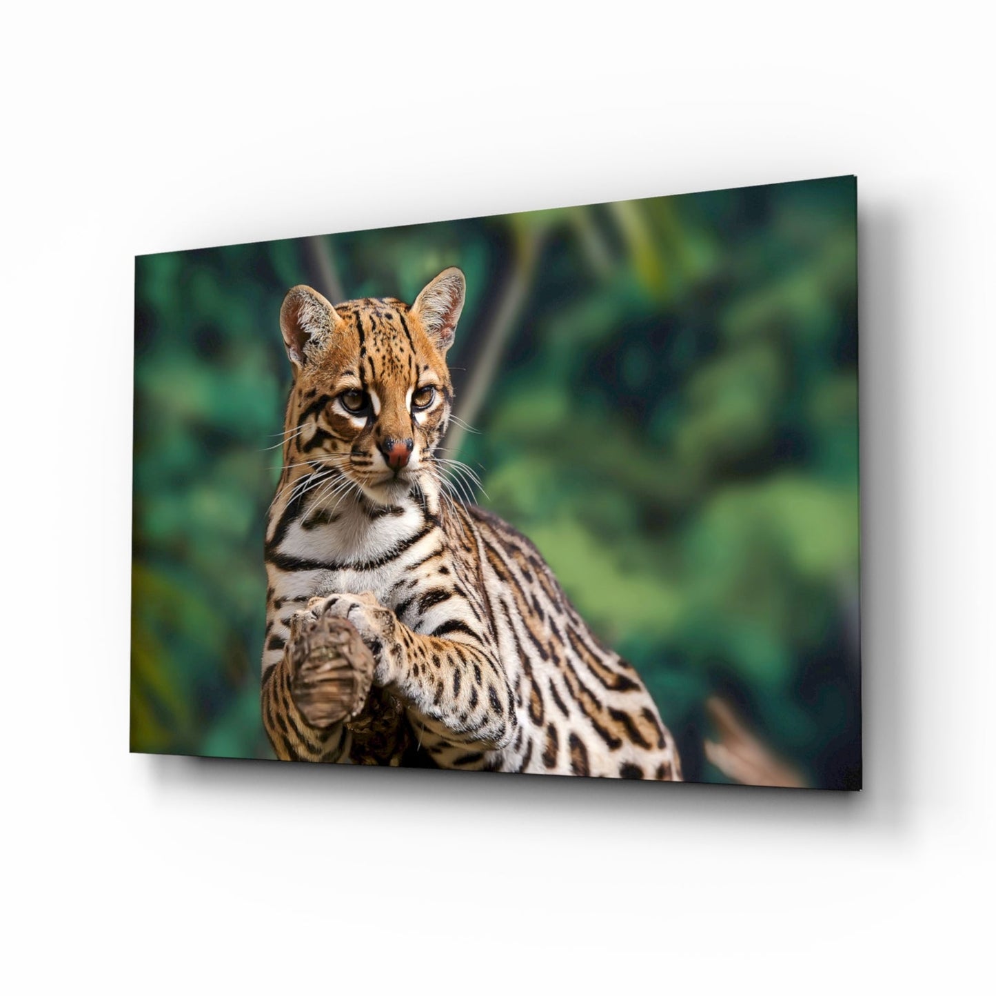 Ocelot with spotted coat gazing toward camera against blurred green foliage on glass wall art panel.