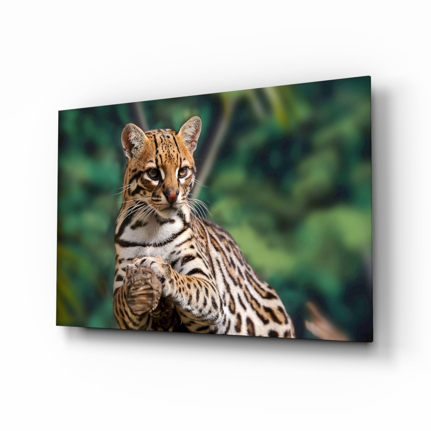 Ocelot with spotted coat gazing toward camera against blurred green foliage on glass wall art panel.