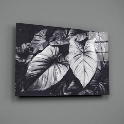 Monochrome Jungle Leaves Glass Wall Art