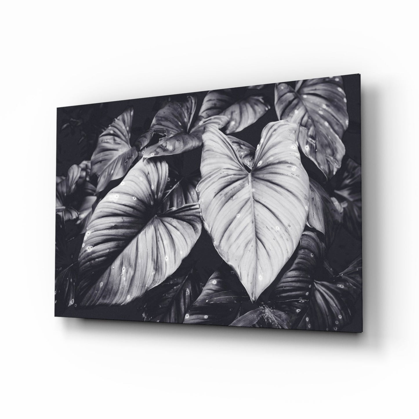 Monochrome Jungle Leaves Glass Wall Art