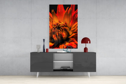 Blazing Orange Spider Dahlia Glass Wall Art