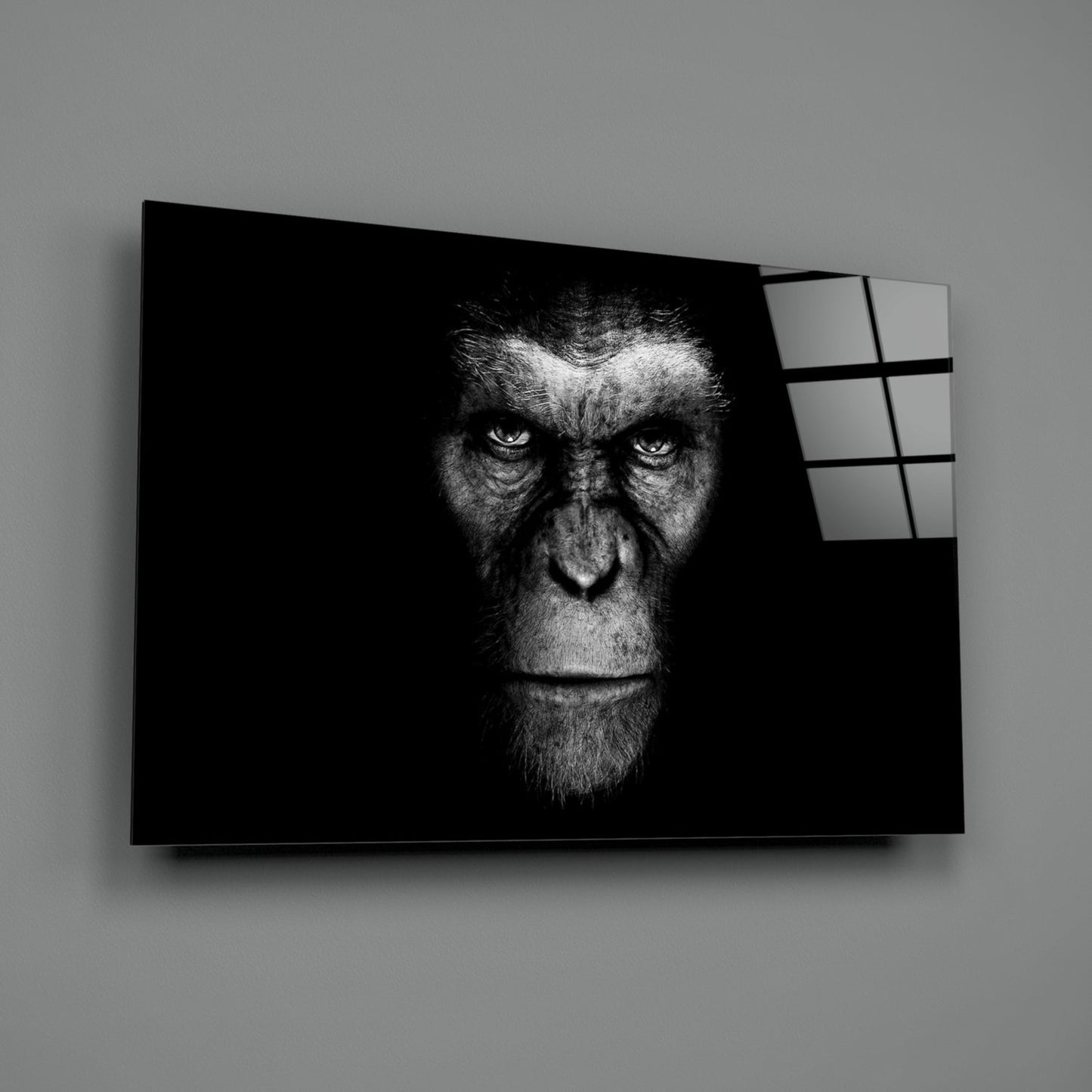 Black And White Ape Portrait Glass Wall Art