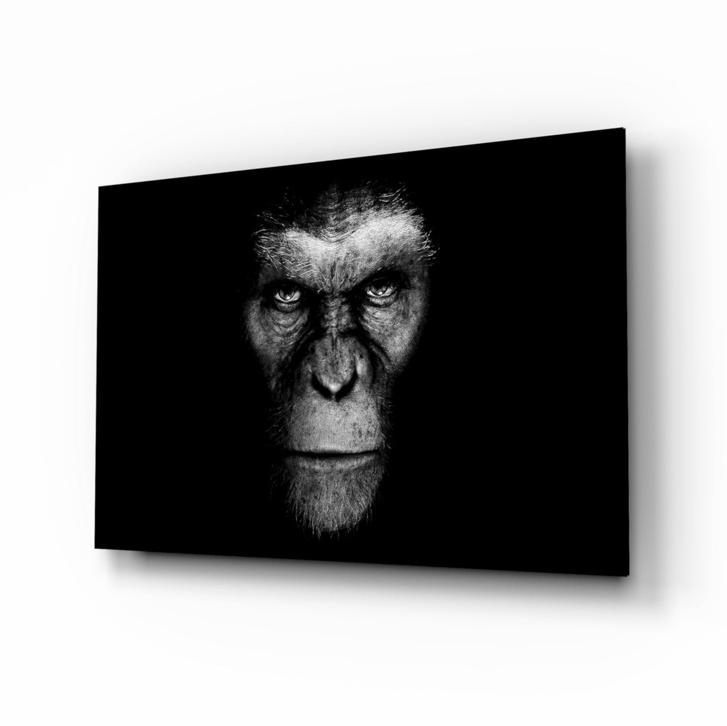 Black And White Ape Portrait Glass Wall Art
