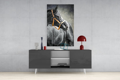 Black Horse Leather Halter Glass Wall Art