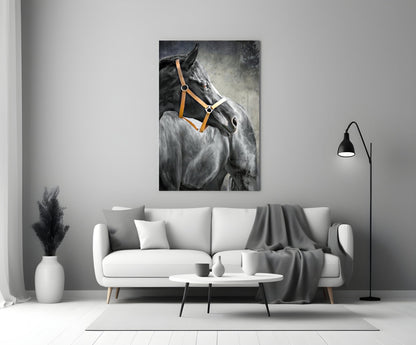 Black Horse Leather Halter Glass Wall Art
