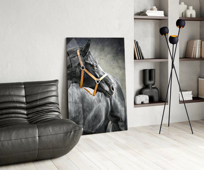 Black Horse Leather Halter Glass Wall Art