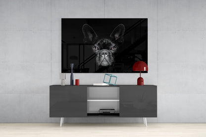 Black French Bulldog Portrait Glass Wall Art