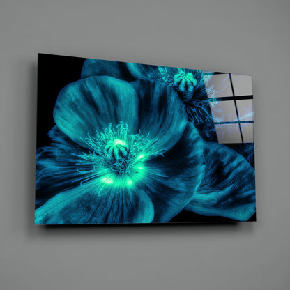 Turquoise Glowing Poppy Petals Glass Wall Art