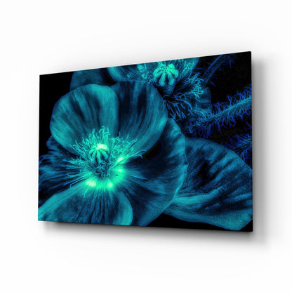 Turquoise Glowing Poppy Petals Glass Wall Art