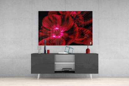 Crimson Poppy With Magenta Center Glass Wall Art