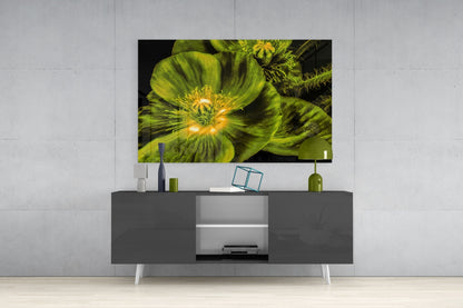 Glowing Chartreuse Poppy Bloom Glass Wall Art