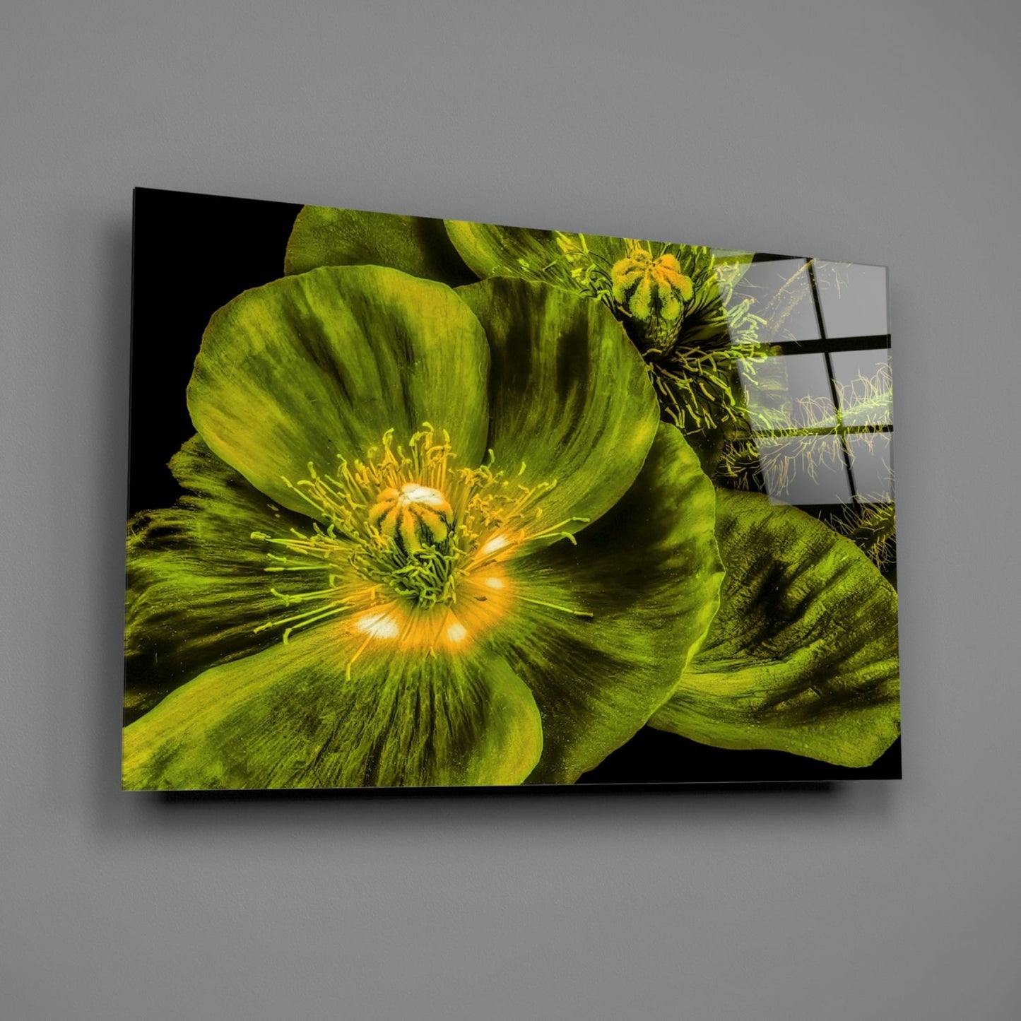 Glowing Chartreuse Poppy Bloom Glass Wall Art