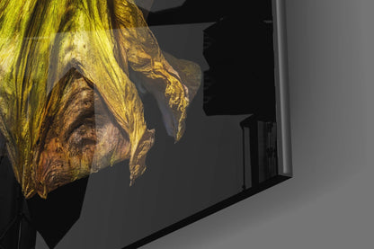 Wilting Yellow Poppy Glass Wall Art