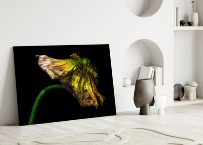 Wilting Yellow Poppy Glass Wall Art