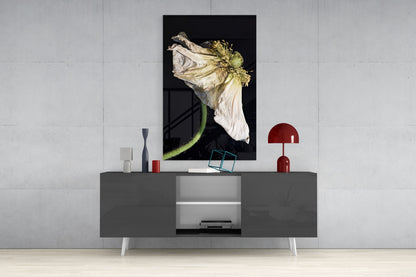 Dried White Poppy Stem Glass Wall Art