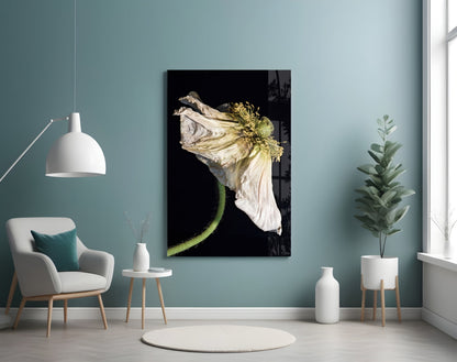 Dried White Poppy Stem Glass Wall Art