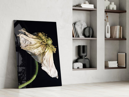 Dried White Poppy Stem Glass Wall Art