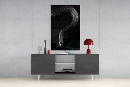 Silver Scaled Snake Descending Dark Glass Wall Art